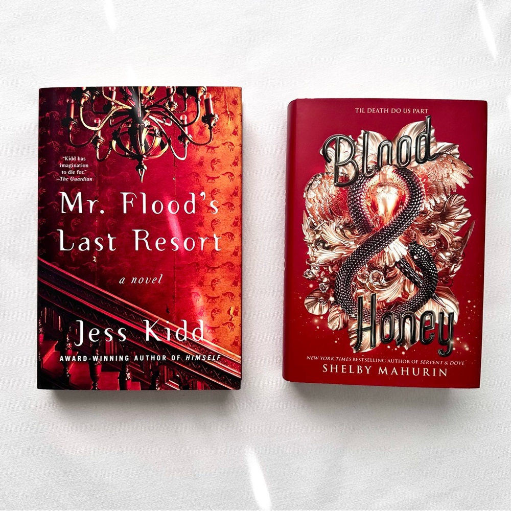 Fantasy and Fiction Hard Cover Book Bundle 🩸 - Picture 2 of 8